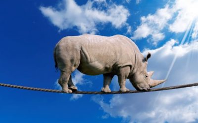 The Dark Side of Leadership